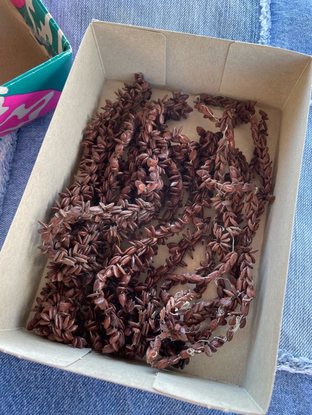 ♦️ Vintage | Hawaiian Koa Seed Necklace Leis
